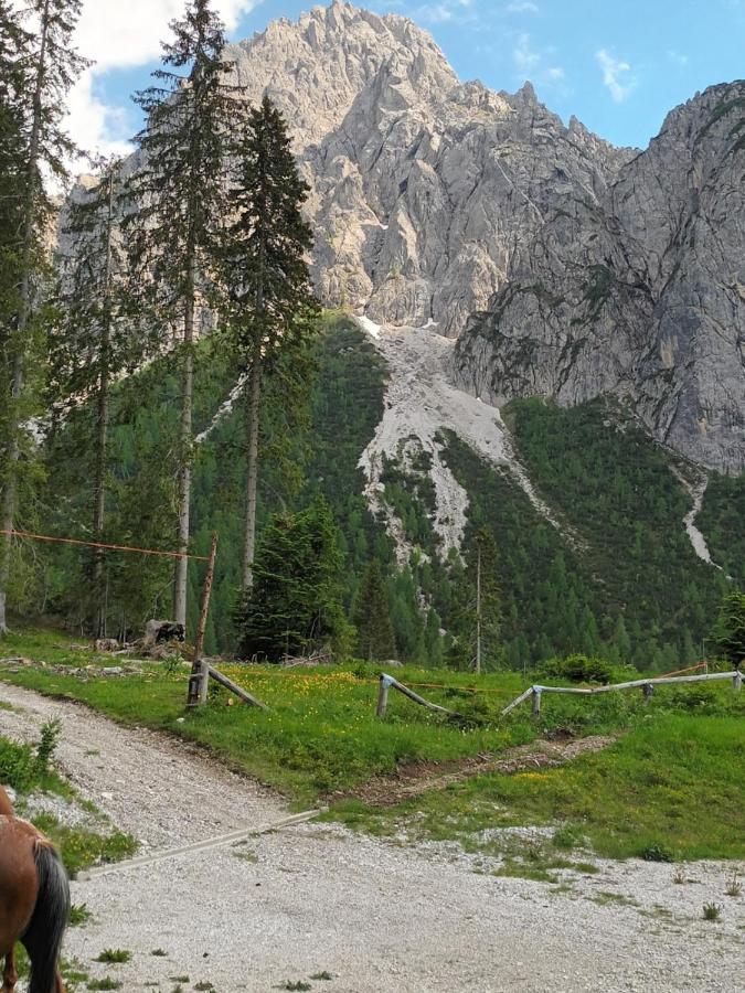 Appartamenti Patrizia سان بيترو دي كادوري المظهر الخارجي الصورة
